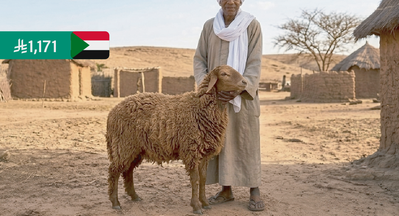 مشروع الأضاحي في السودان